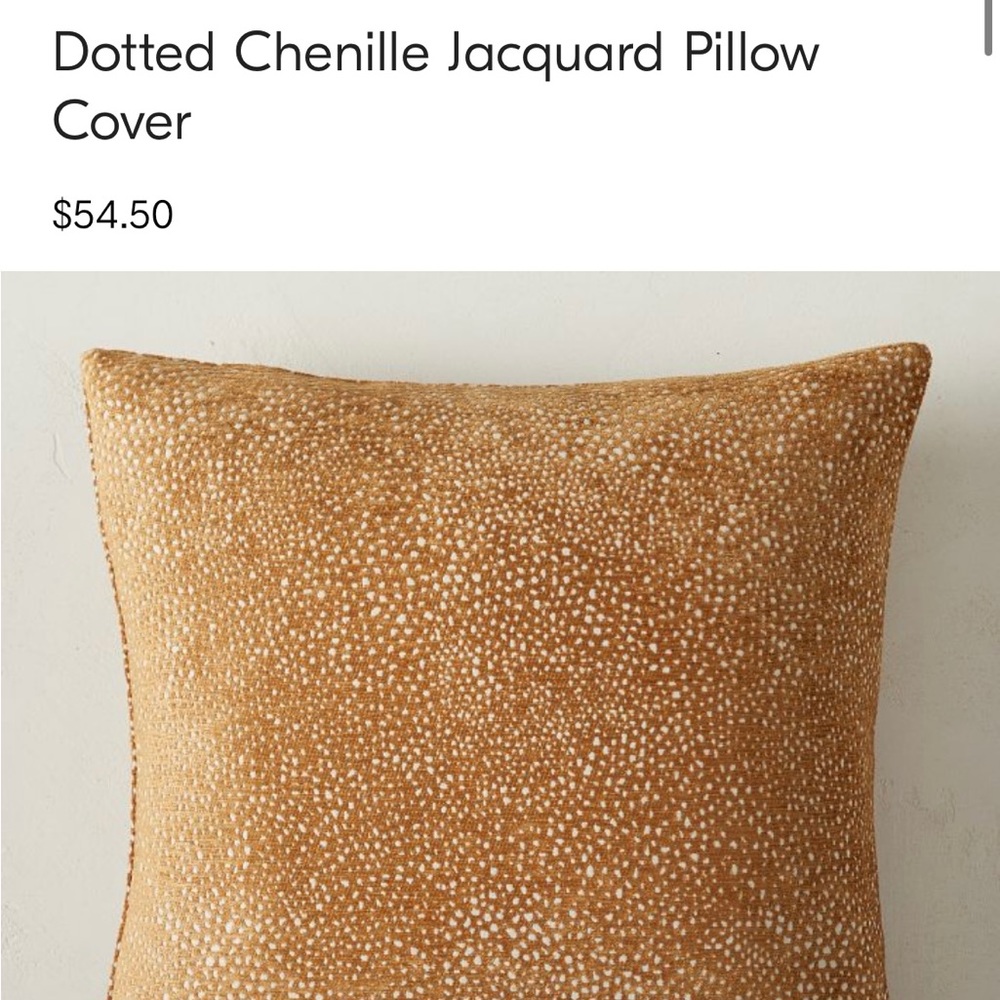 Dotted chenille jacquard pillow cover 20x20”